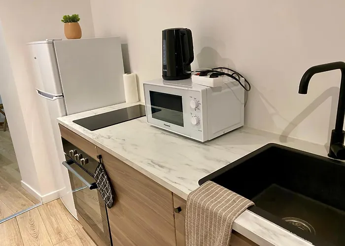 Apartment Acacia Terrasse*proche Centre-ville Et Chu *